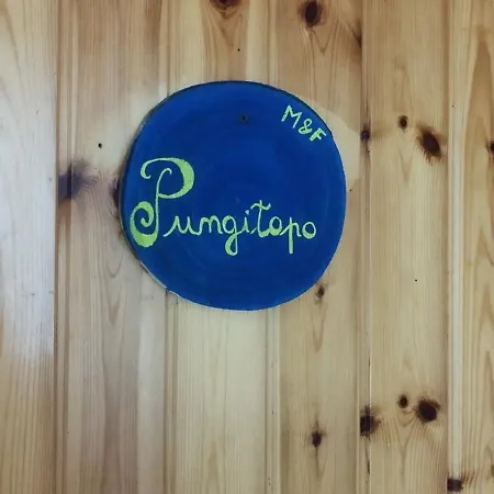 Pungitopo דירה