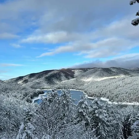 Pungitopo Caprara (Crotone)